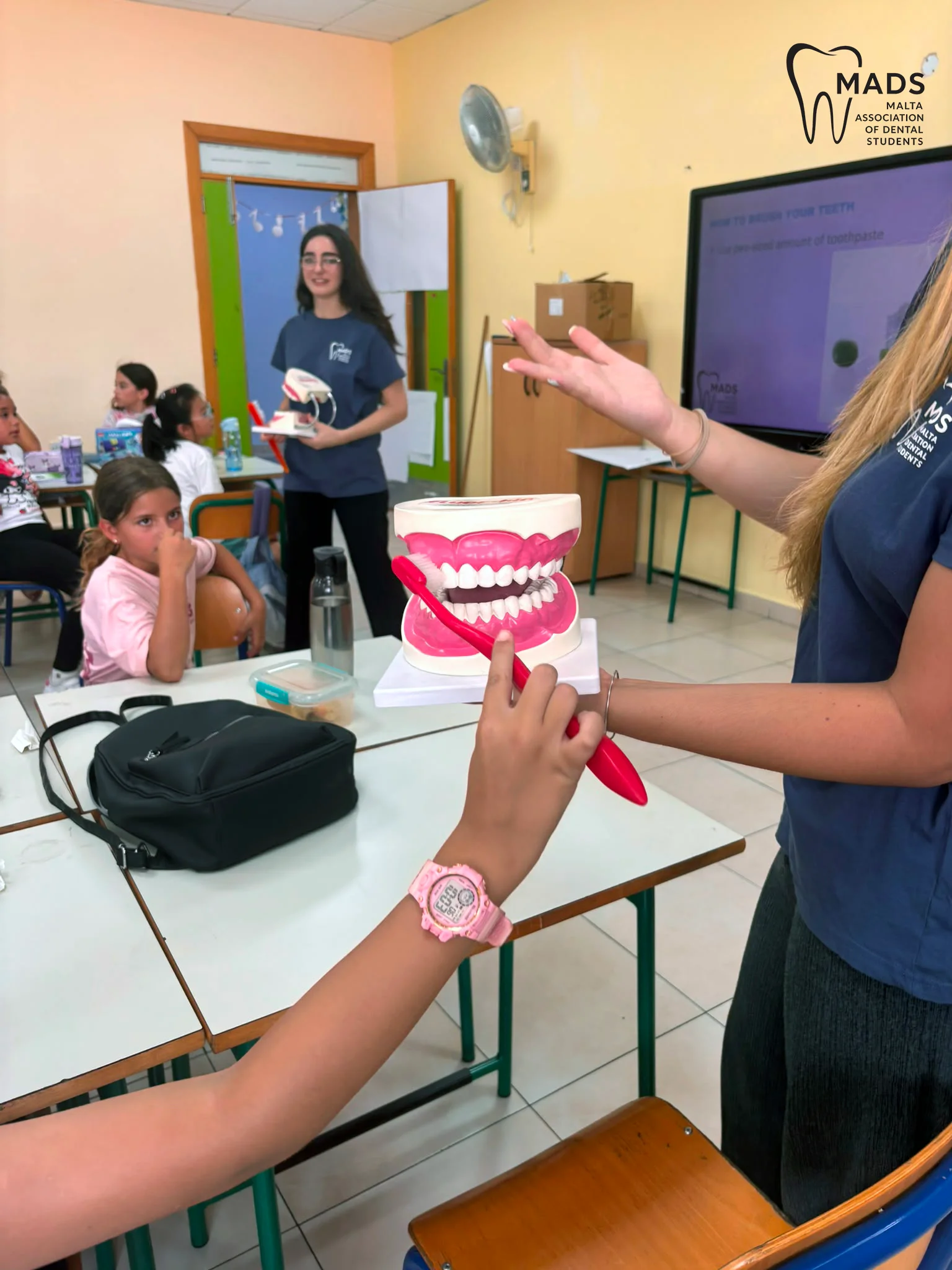 MADS volunteers demonstrating brushing with a dental model at the Pembroke talk